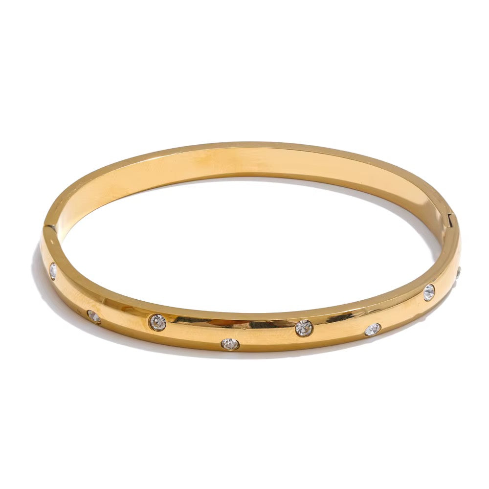 SASHA BANGLE