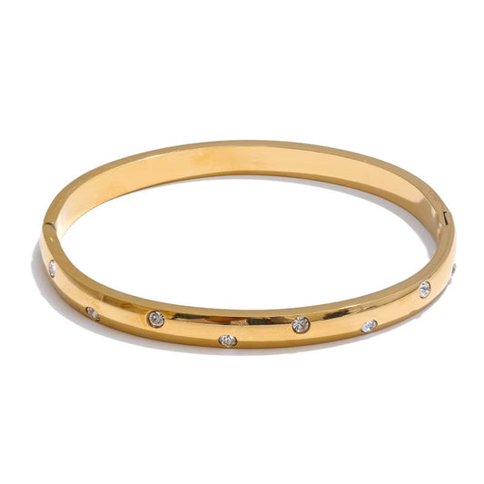 SASHA BANGLE
